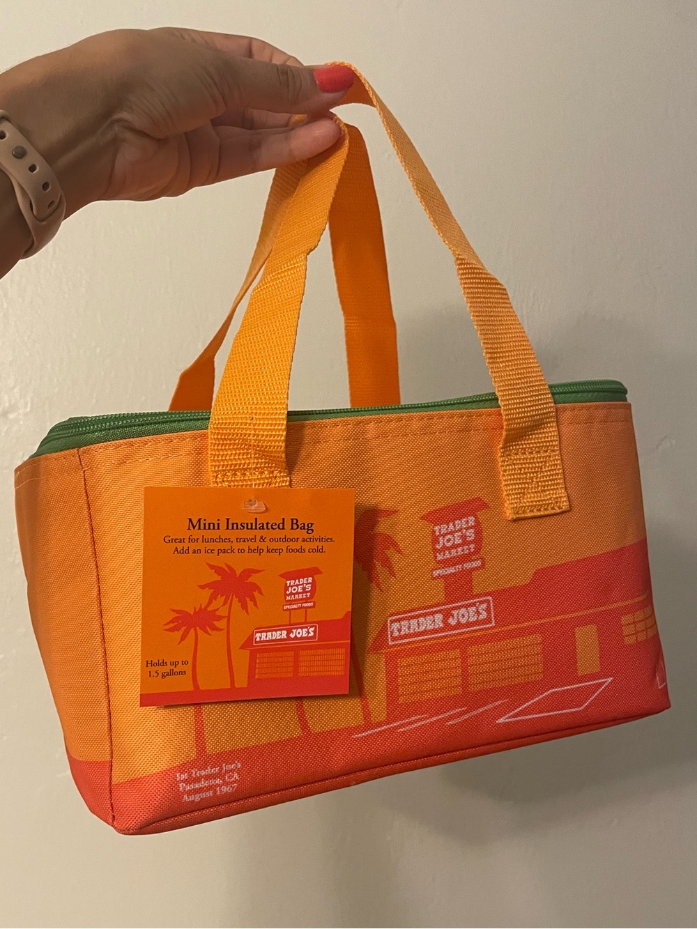 Trader Joe’s Orange Mini Insulated Bag